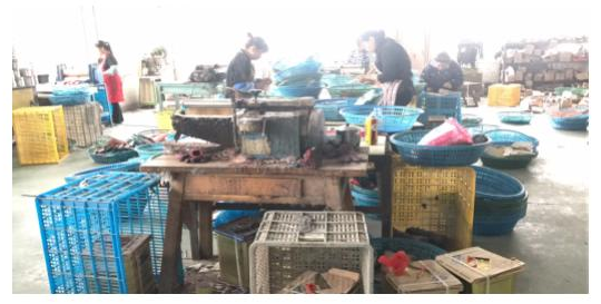 一哥鞋胶制造商与温州鑫足中底厂在合作之路上越走越精细